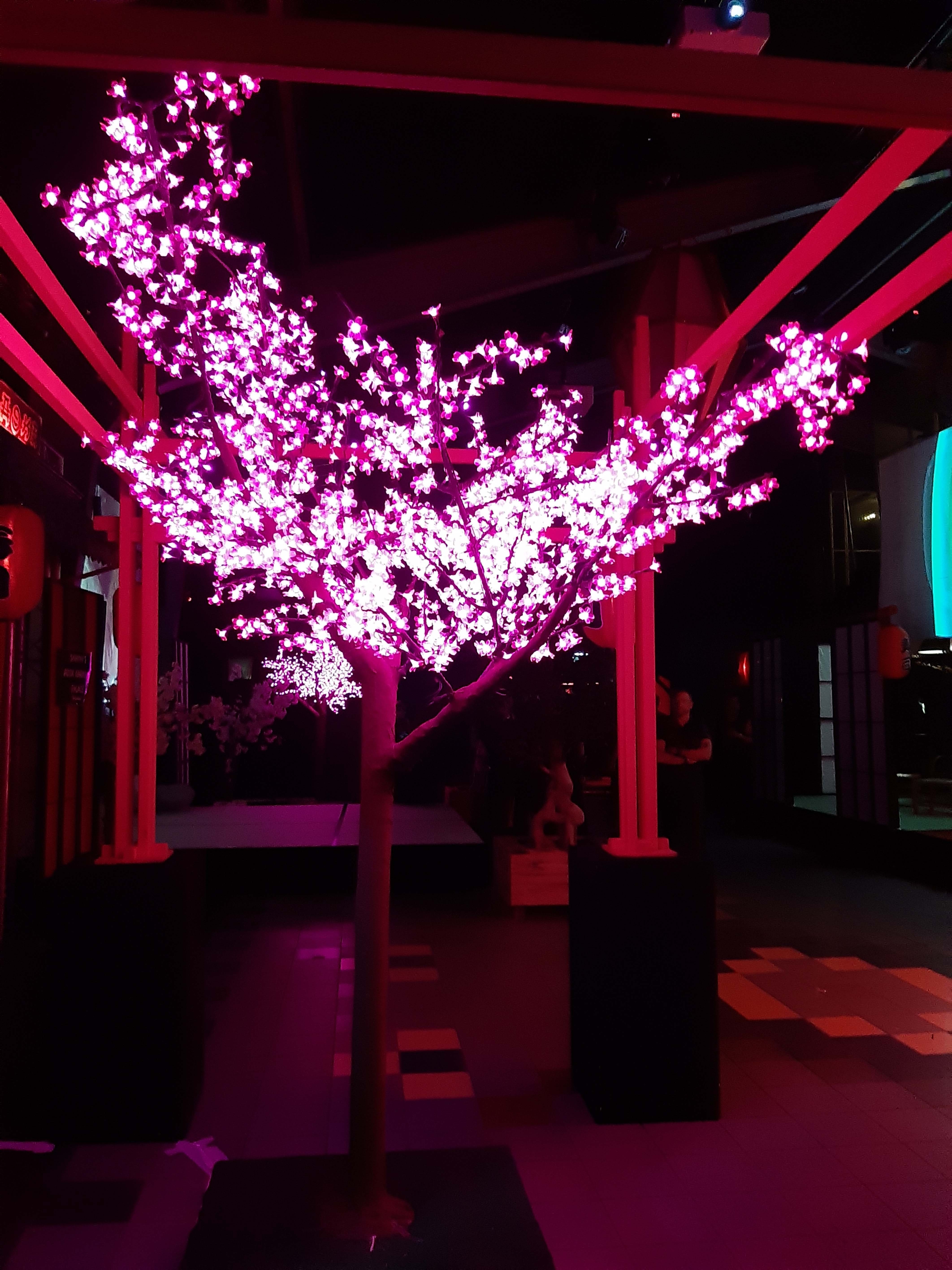 00243 roze bloesem bomen met ledverlichting